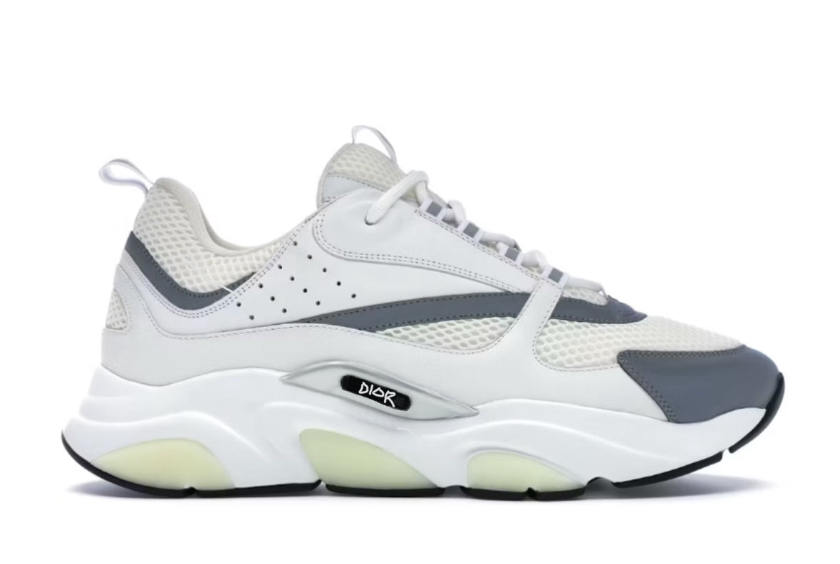 Dior B22 “White Silver”